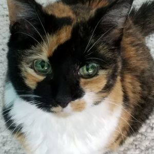 Meet your Posher, Lori